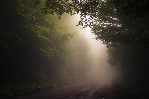 Foggy Skog Runt Väg Bergspasset — Stockfoto