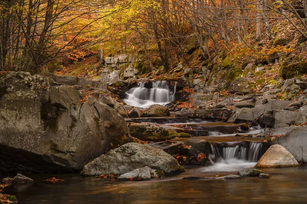 Small River Flows Colorful Autumn Forest — Stock Photo, Image