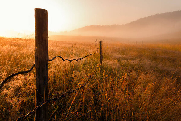 Окружение деревни Ягодина в горах Родопы