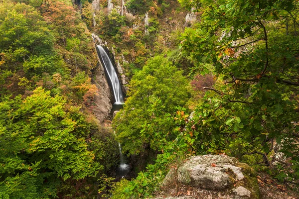 Waterfall Forest — Stock Photo, Image