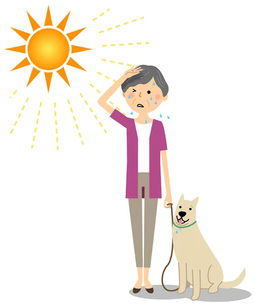 Ältere Frau Die Hunde Der Hitze Ausführt — Stockvektor