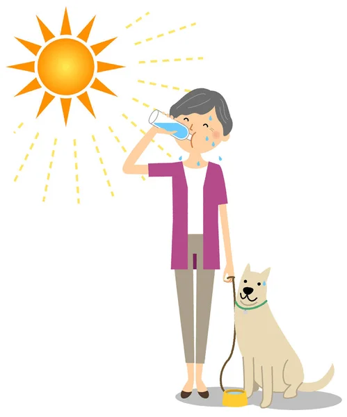 Ältere Frau Die Mit Hunden Spazieren Geht Während Sie Hydratisiert — Stockvektor