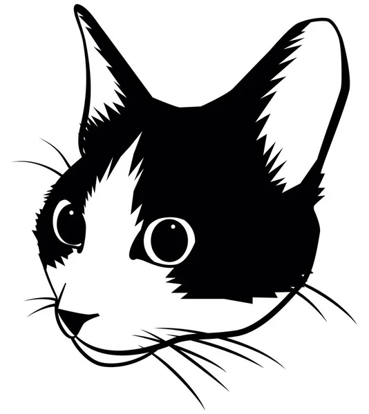 Bir Kedinin Yüzü Bir Kedinin Yüzünün Bir Örneğidir — Stok Vektör