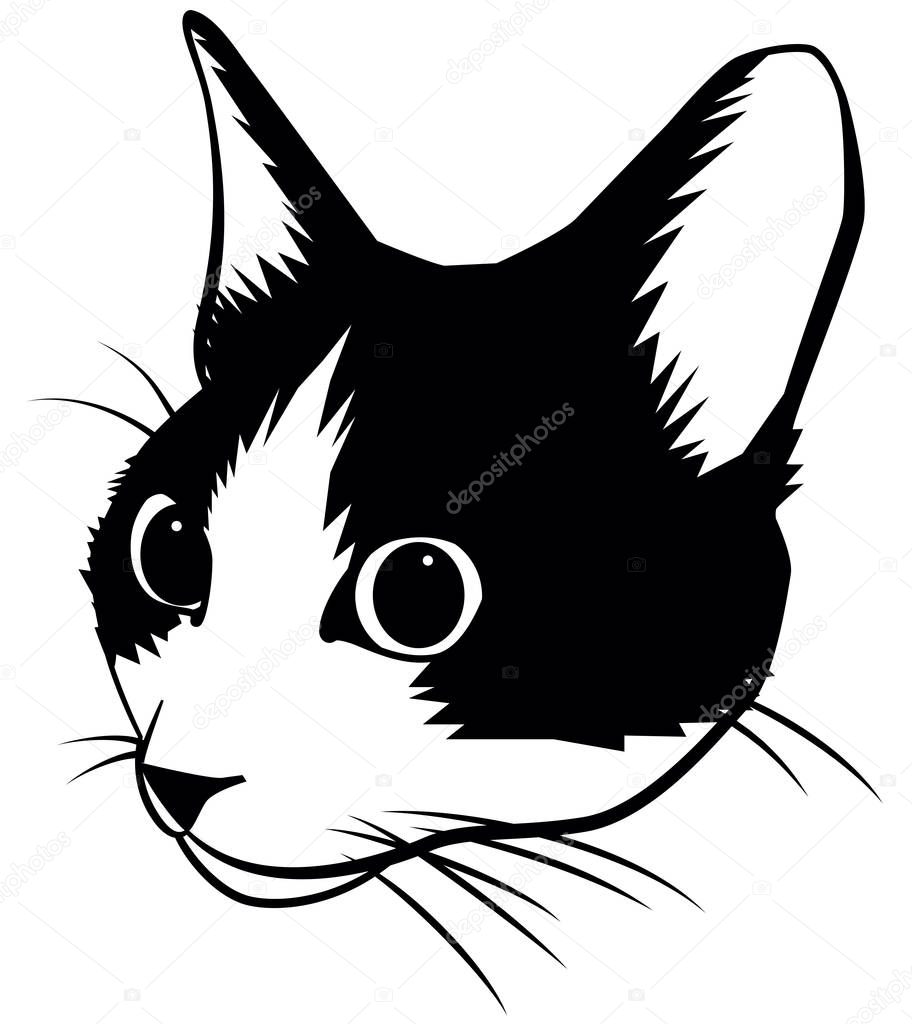 Face of a cat/It is an illustration of a face of a cat.