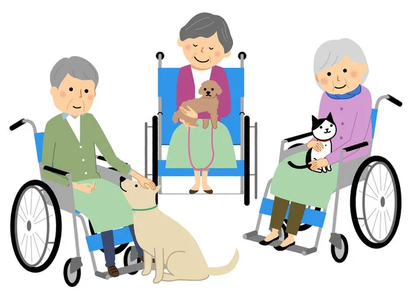 Asistovaná Léčba Zvířat Ilustrace Starší Osoby Podstupující Zvířecí Terapii — Stockový vektor