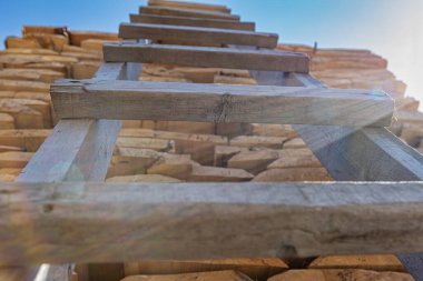 Ahşap merdiven çam ağaçlarının üzerine çıkıyor, güneşle aydınlatılıyor. Kereste fabrikasının bölgesinde.