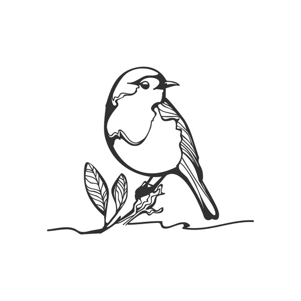 Robin esboço, ilustração em preto e branco — Vetor de Stock