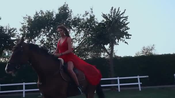 Дівчина верхи на коні — стокове відео