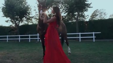 Bir at güneş arka planda okşayarak içinde güzel kız