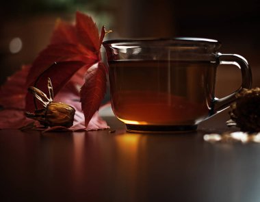 sarı-kırmızı natürmort arka ışık içinde yaprak