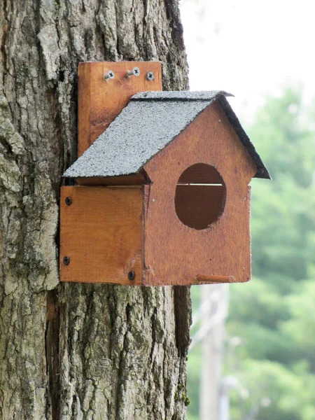 Johnson City Tennessee United States 2012 Vacant Bird House — 图库照片