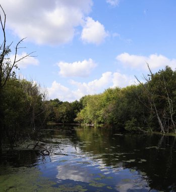 Mavi gökyüzünün nehirdeki bulutlarla yansıması. Bityug Nehri, Tambov Region, Rusya Federasyonu.