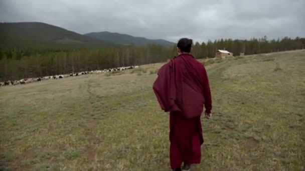 Moine Bouddhiste Marchant Sur Une Colline Avec Troupeau Arrière Plan — Video