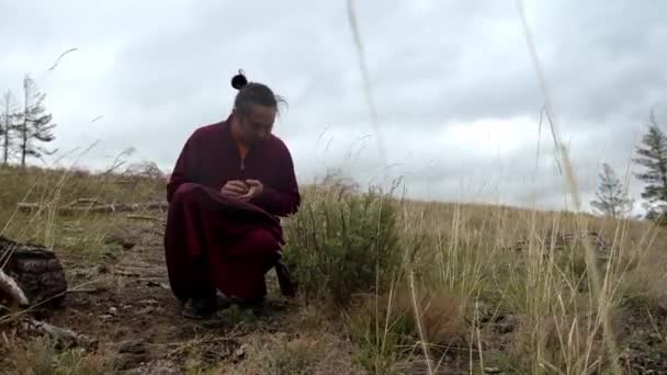 Buddhista Szerzetes Begyűjtése Gyógynövények Egy Felhős Napon — Stock videók