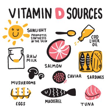 D vitamini kaynakları. Farklı yiyecek zengin vitamin d vektör Illustration elle çizilmiş.