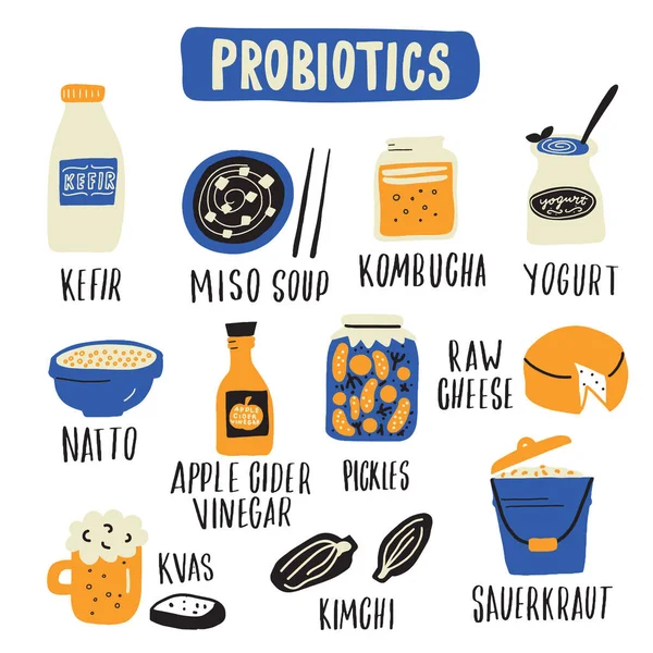 Probiotische Nahrungsmittel. handgezeichnete Illustration im Doodle-Stil. Vektor — Stockvektor