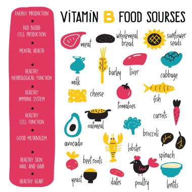 Vitamin B complex. Vector Cartoon infographics poster with illustration of food sources.