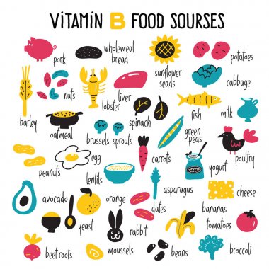 Vitamin B complex food sources. Vector cartoon illustration.