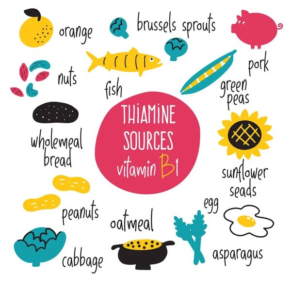Vitamina B 1 fuentes de alimentos, tiamina. Ilustración de dibujos animados vectoriales. Concepto de alimentación saludable . — Archivo Imágenes Vectoriales