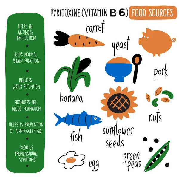 Vitamina B 6 fuentes de alimentos, piridoxina. Dibujos animados vectoriales ilustración e información sobre los beneficios para la salud de la vitamina B 6. Cartel infográfico . — Archivo Imágenes Vectoriales