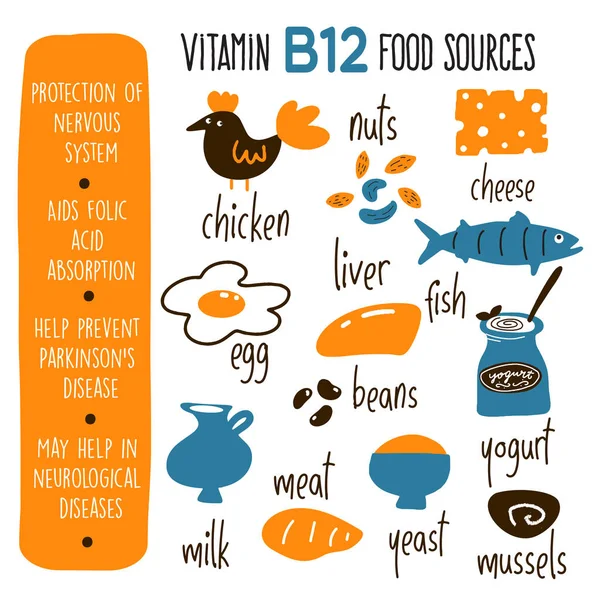 Ilustrasi kartun vektor dari sumber VitaminB 12 dan informasi tentang manfaat. Poster infografis . - Stok Vektor