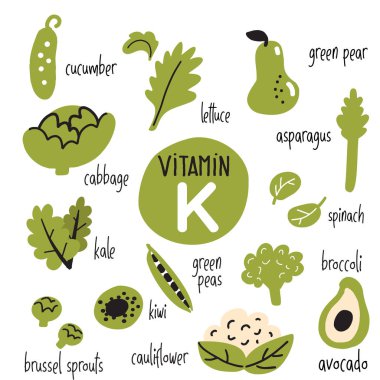 K vitamini açısından zengin gıdaların vektör illüstrasyon. Yeşil sebzeler.