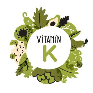 K vitamini açısından zengin gıdaların düz vektör illüstrasyon. Gıda çerçevesi.