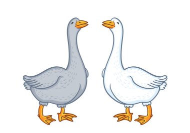 İki kaz beyaz ve gri, beyaz arka plan üzerinde izole karikatür komik kaz kaz yerli doğa karakter, kümes hayvanları, çiftlik hayvan raster
