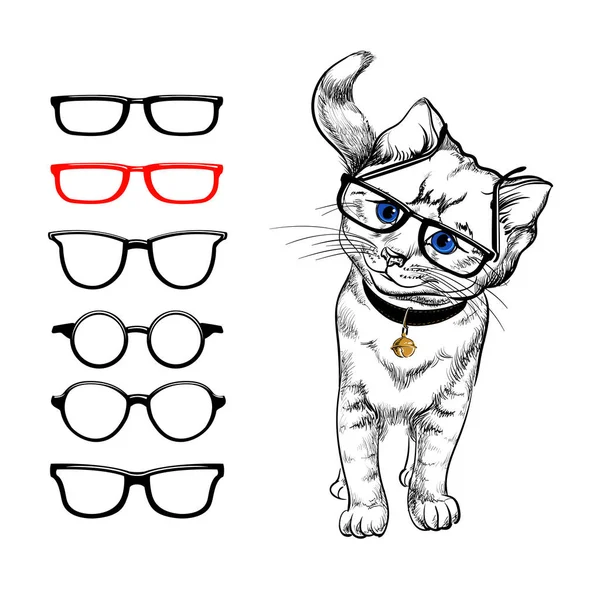 Gato Con Gafas Imagen Estilizada Pintada Gato Sobre Fondo Blanco — Vector de stock
