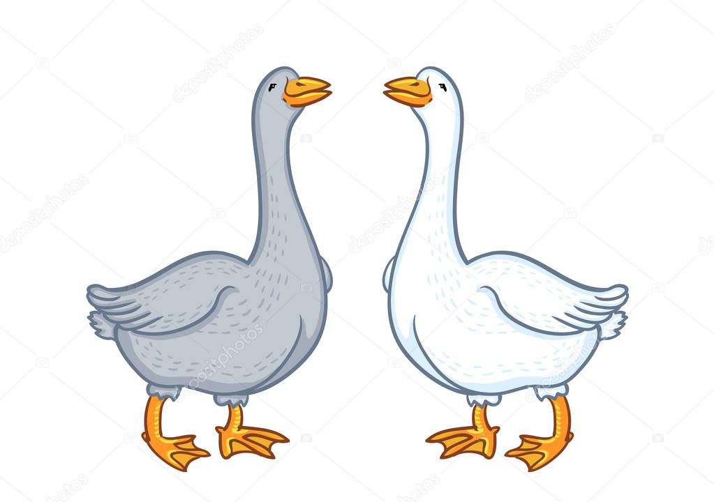 Two geese white and gray, cartoon funny goose isolated on white background, goose domestic nature character, poultry, farm animal raster