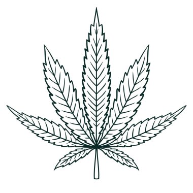 Esrar (Marihuana) Vintage tarzında Yaprak. İçerik resim tablosu