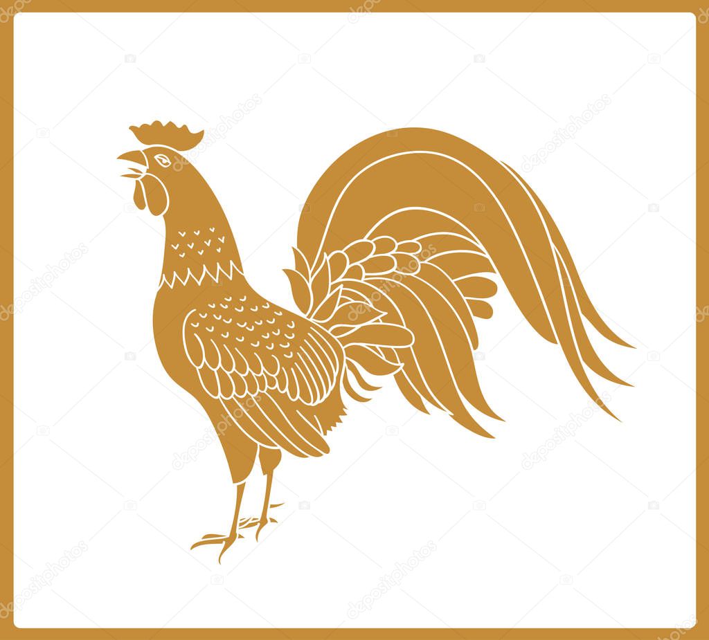 Golden rooster isolated on white background