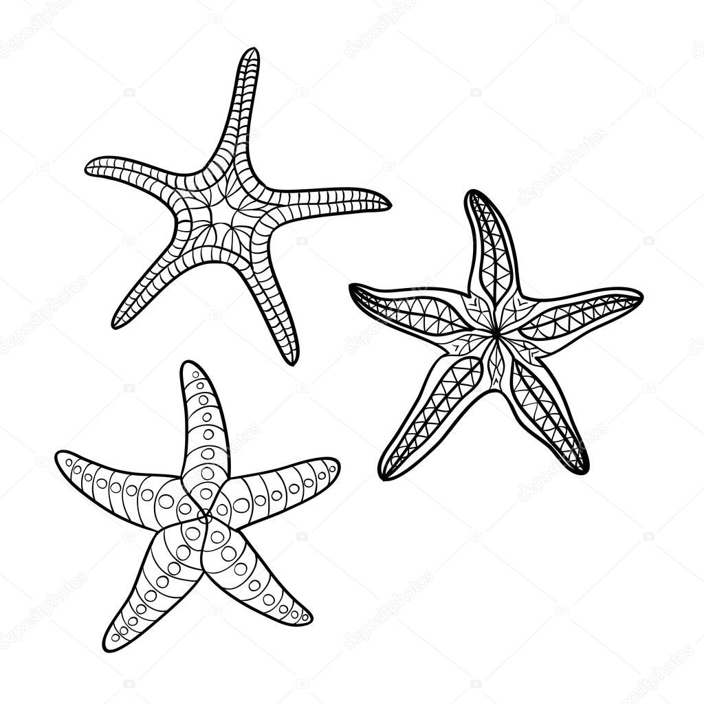 Hand drawn starfish  in black outline on off-white background