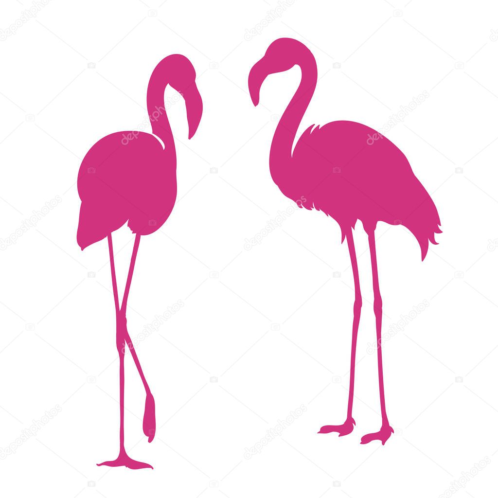 Flamingo. Exotic bird. Two pink flamingo, decorative flat design element