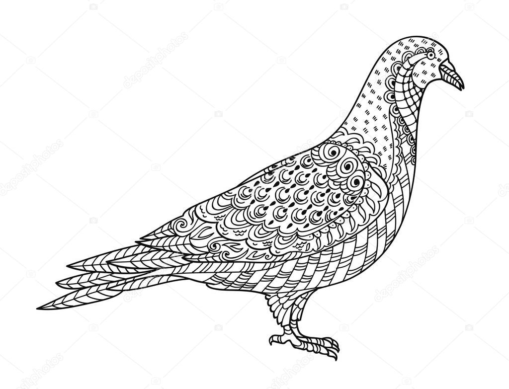 Drawing zentangle dove, for coloring book for adult or other decorations. Black and white version illustration