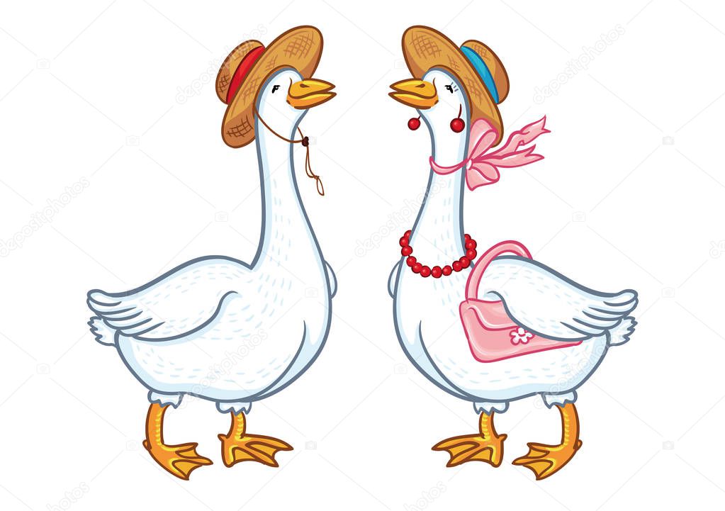 Pair of geese with a hat, sketch on a white background, cartoon funny goose, poultry domestic nature character