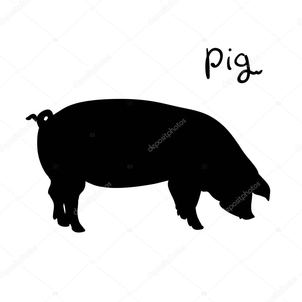Pig of vector illustration. Silhouette farming animal. Pig on white background