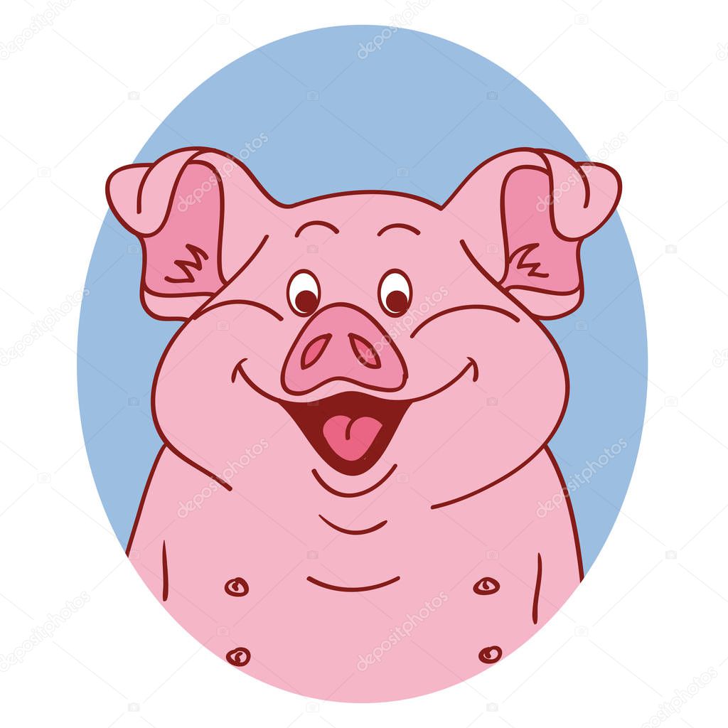 Pig face. Pig isolated. Pig portrait on white background, happy character piggy. Cartoon pig looks out from the blue hole. Vector illustration 