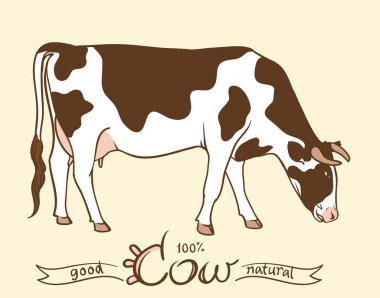 İnek. Ot yiyen inek. İnek yalıtılmış, elementler kümesi