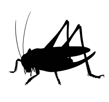 Çekirge silüeti. Stil tasarım çizimler el çekilmiş