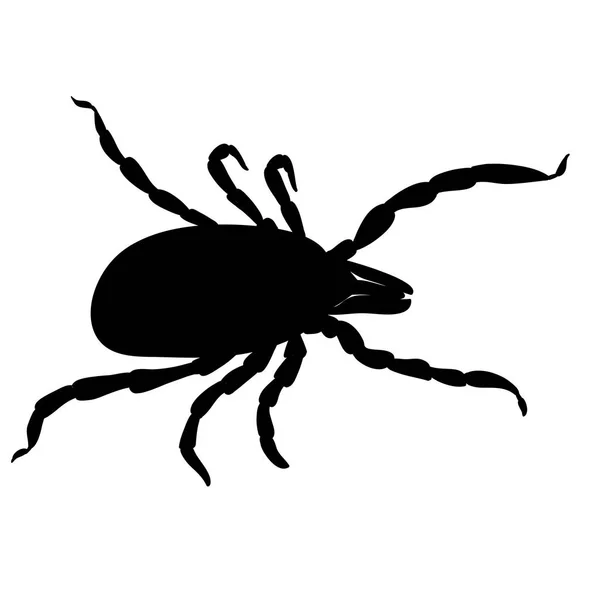 Des Acariens Parasites Cocher Silhouette Isolée Sur Fond Blanc Tic — Image vectorielle