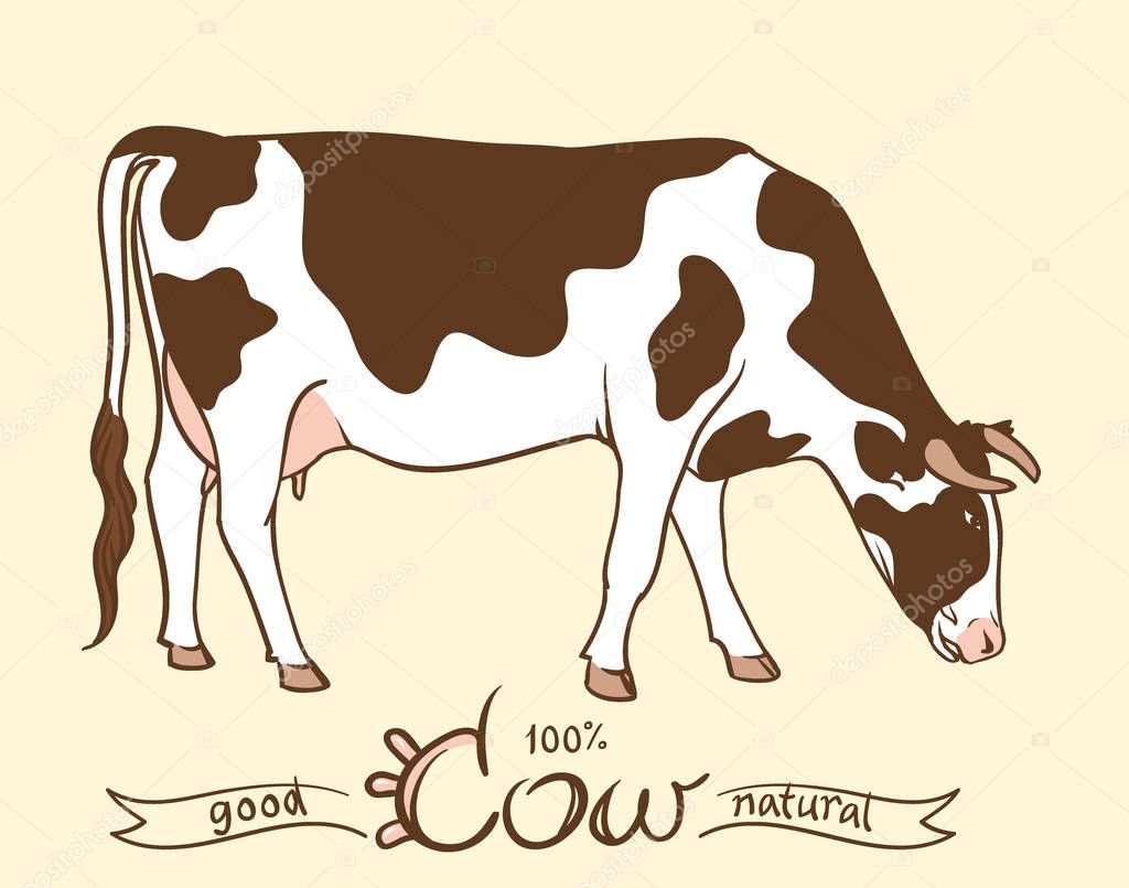 Cow. Cow eating grass. Cow isolated, set of elements