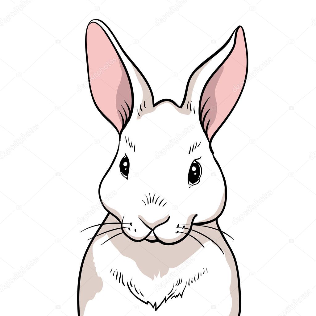 Rabbit portrait isolated. Hand drawn style vector design illustrations