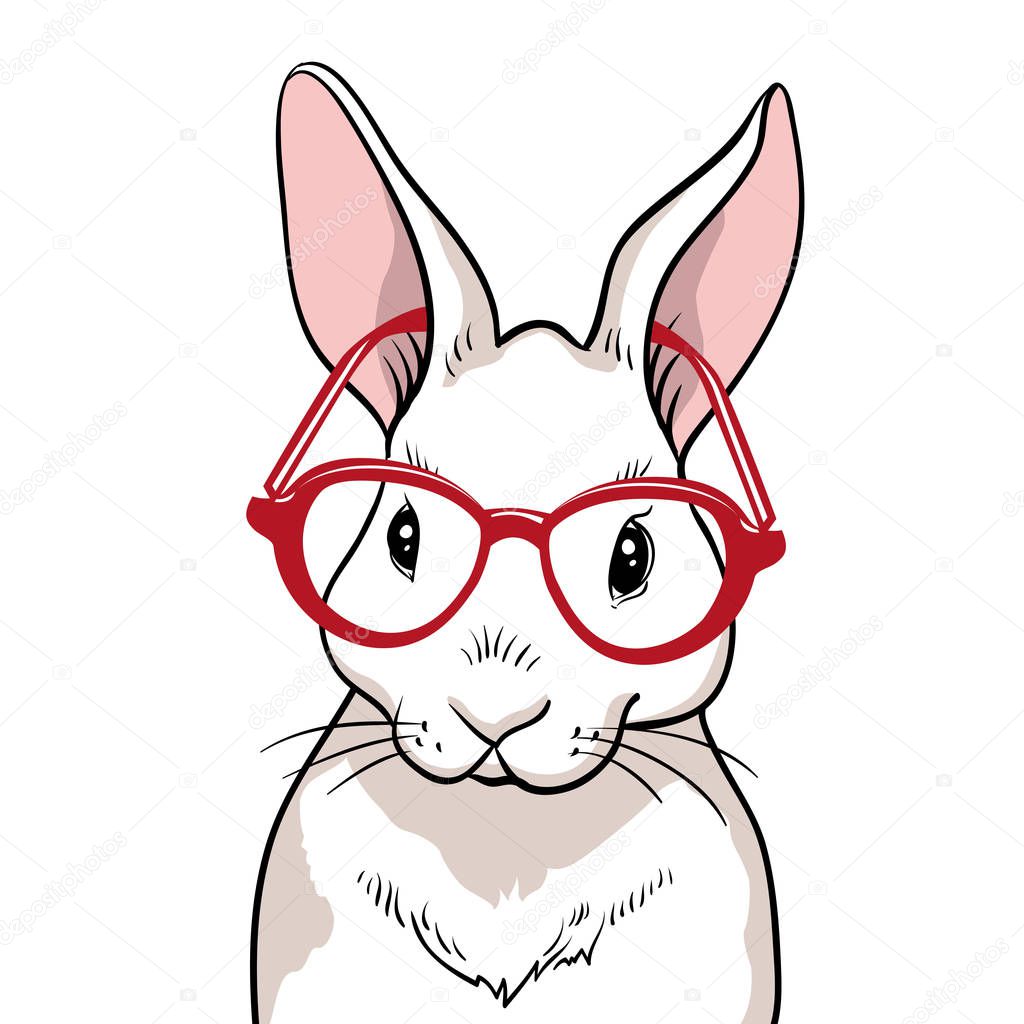Rabbit portrait with red glasses isolated. Rabbit on a white background. Cute rabbit cartoon