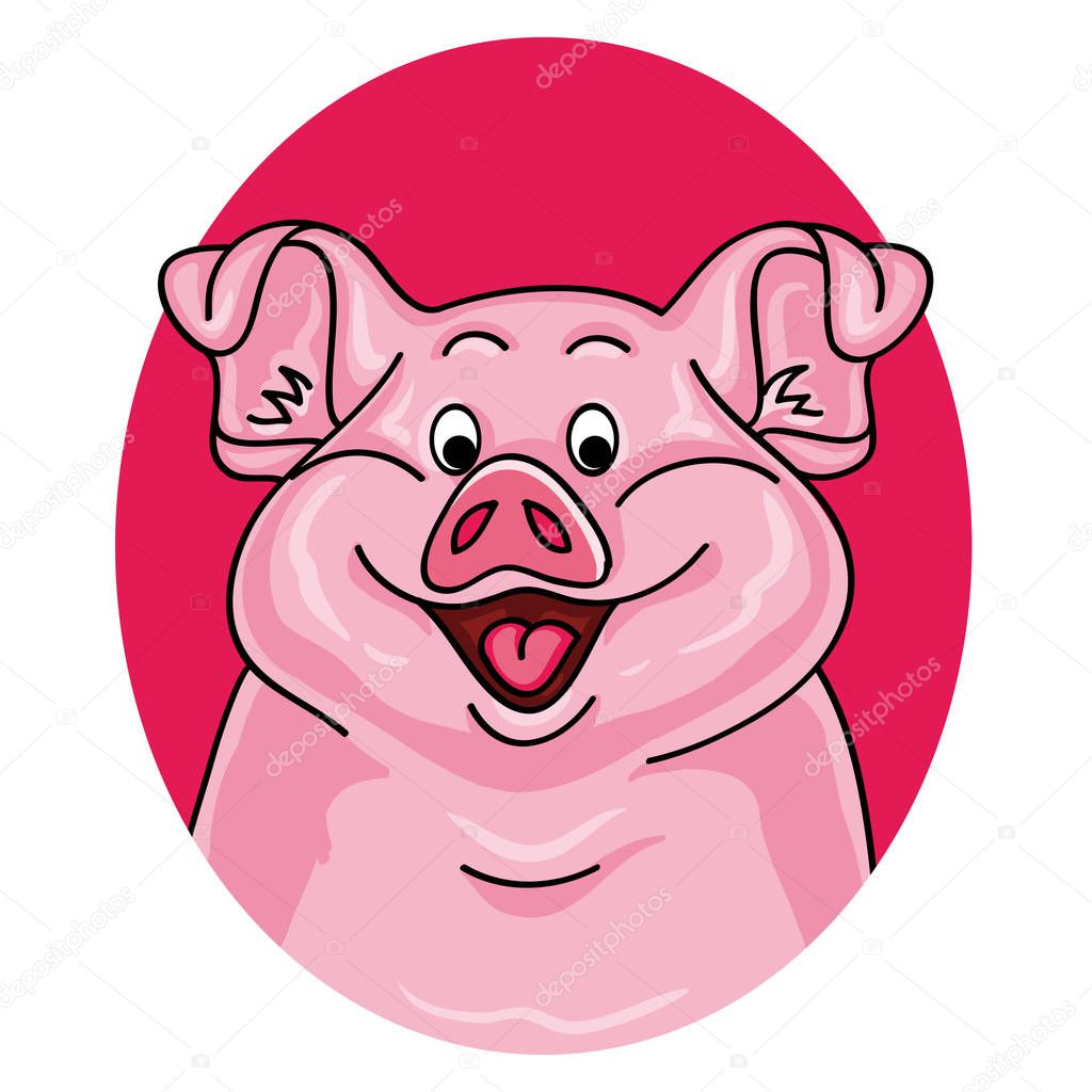 Pig portrait on white background. Cartoon pig looks out from the pink hole. Pig face. Pig animal. Pig farm