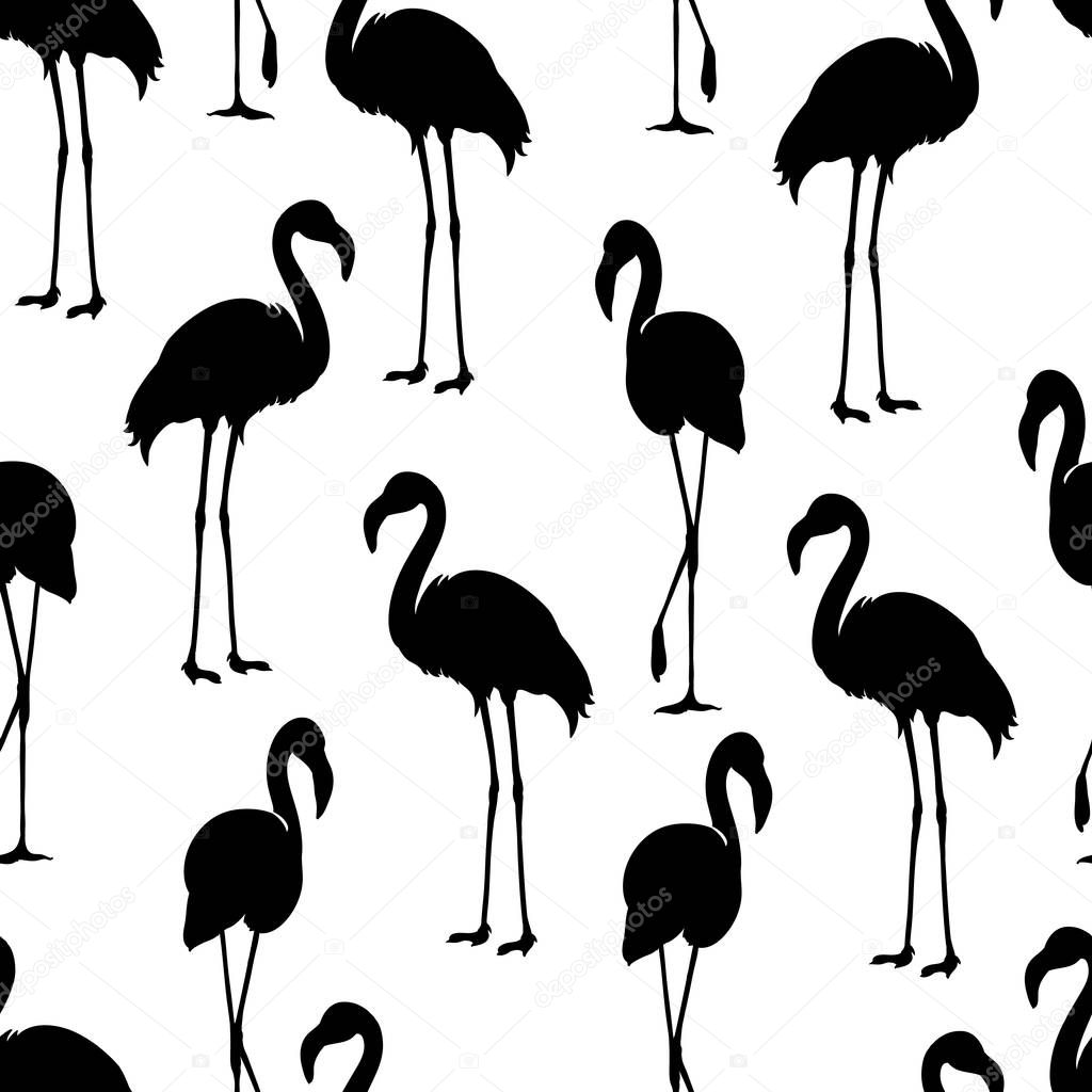 Flamingo isolated. Exotic bird. Flamingo silhouette, illustrations. Flamingo seamless pattern