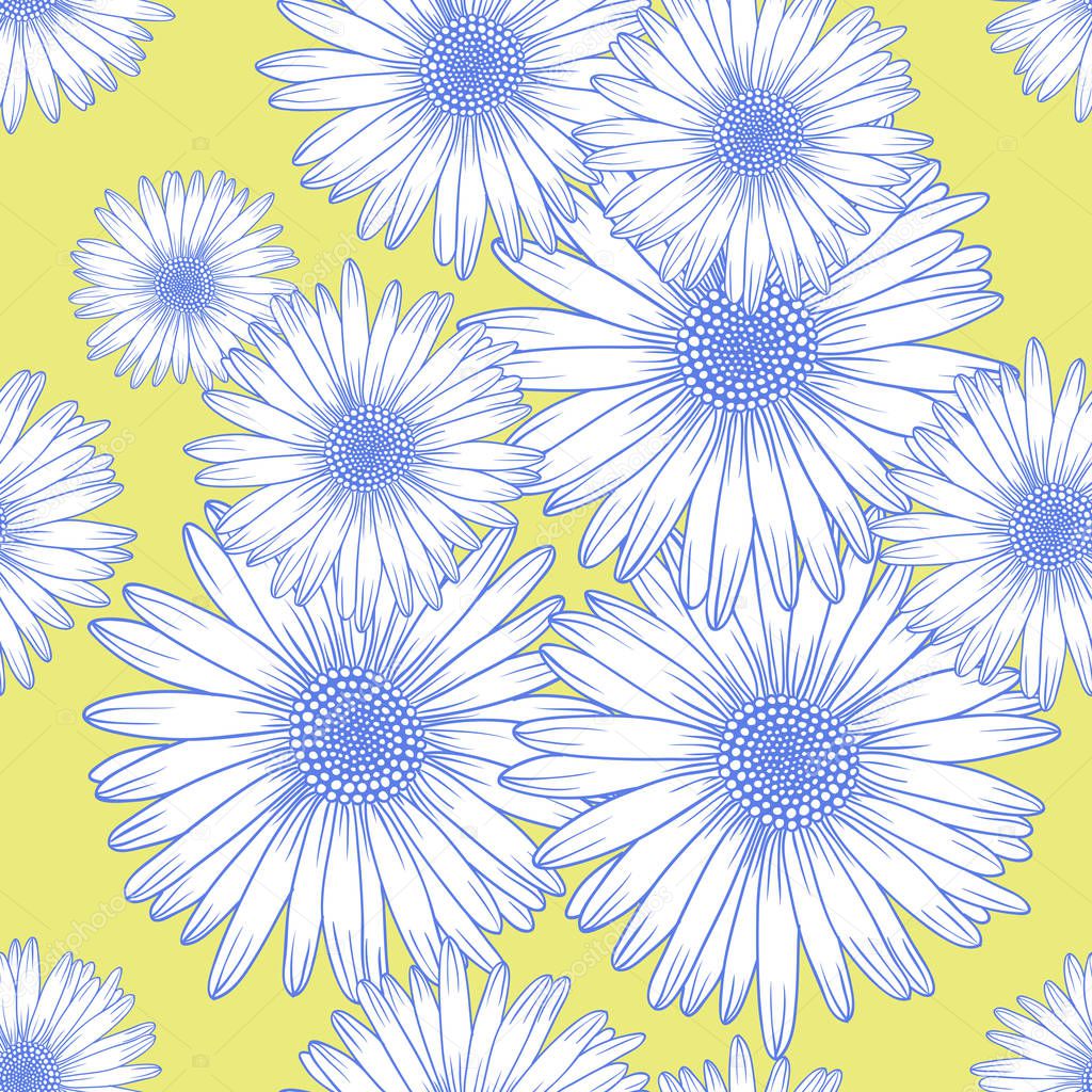 Seamless background pattern with chamomile flowers, flat lay