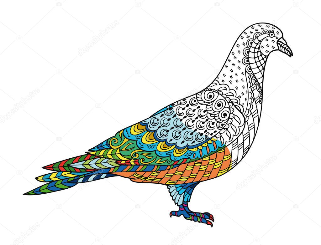 Drawing stylized dove (pigeon). Freehand sketch for adult anti stress coloring book for adultpage with doodle and zentangle elements. With sample coloring