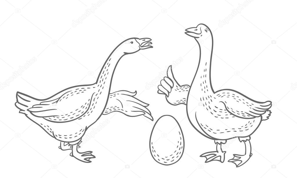 Two geese, goose egg outline drawing, cartoon funny goose isolated on white background, goose domestic nature character, poultry