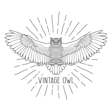 Baykuş. Kartal baykuşunun ana hatları hippi tarzı ok ve kirişlerle çizilmiş. Kuşlar. Siyah beyaz el çizilmiş karalama. Beyaz arkaplanda simge tasarımı. Vektör satırı simgesi